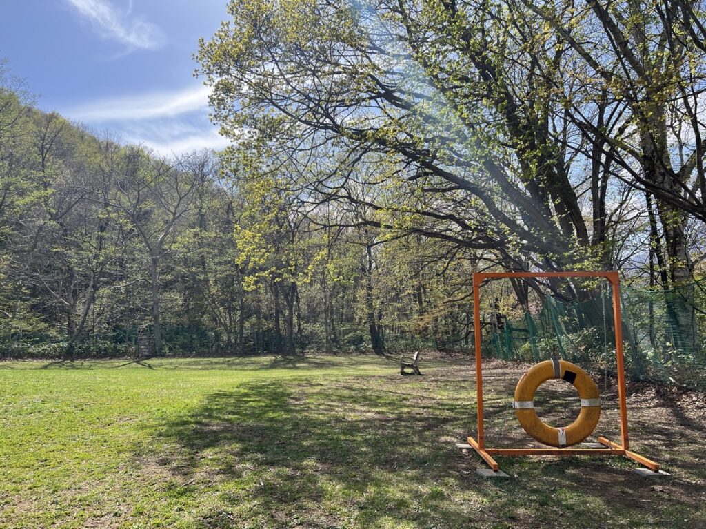 ワンパーク西野 アジリティ