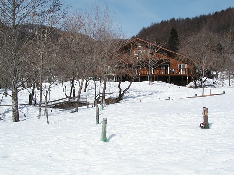 ハイジの里 ドッグラン