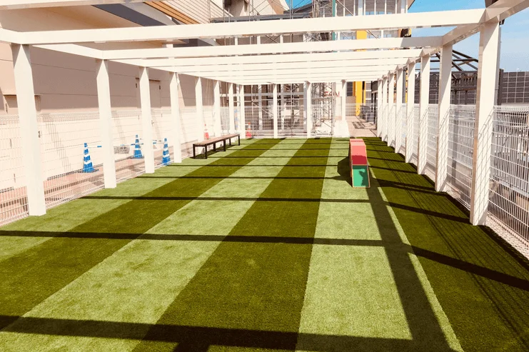 ペテモ(PeTeMo)新居浜店 ドッグラン