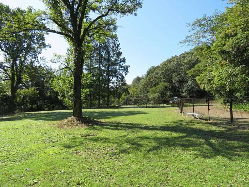 岐阜市畜産センター公園ドッグラン