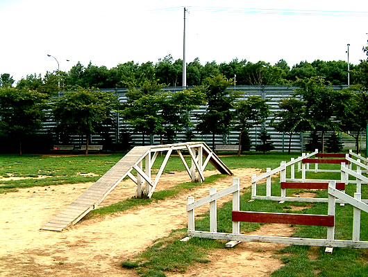 樽川公園 ドッグラン