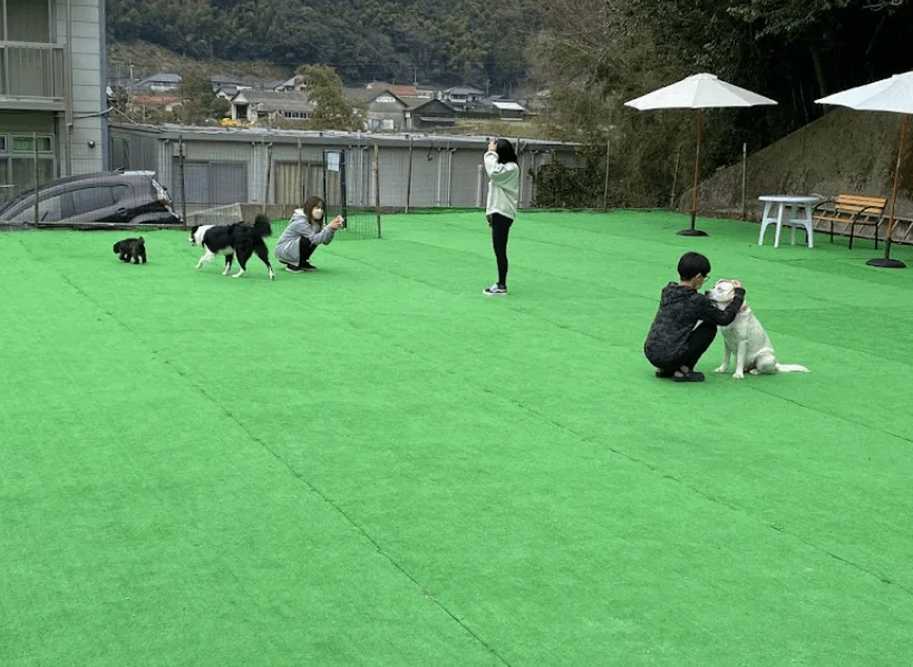 厳木ドッグラン