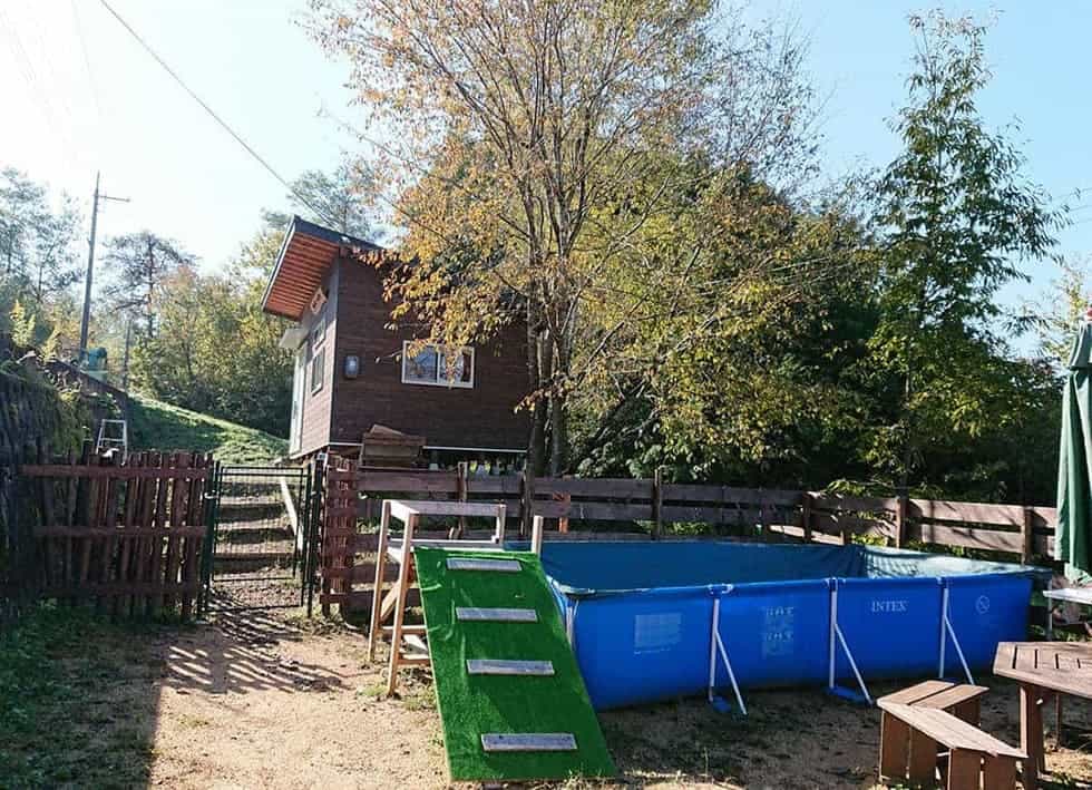 ann’sドッグラン