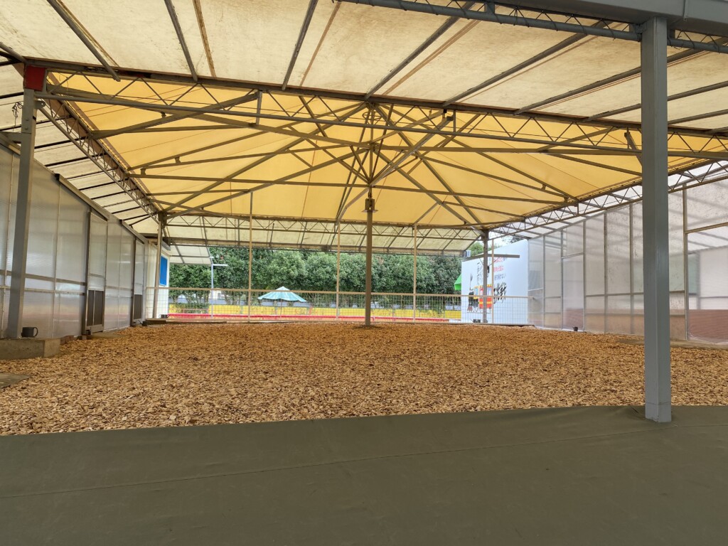 065F88CE-F9F0-4105-8037-E56D1C3276A6-1024×768