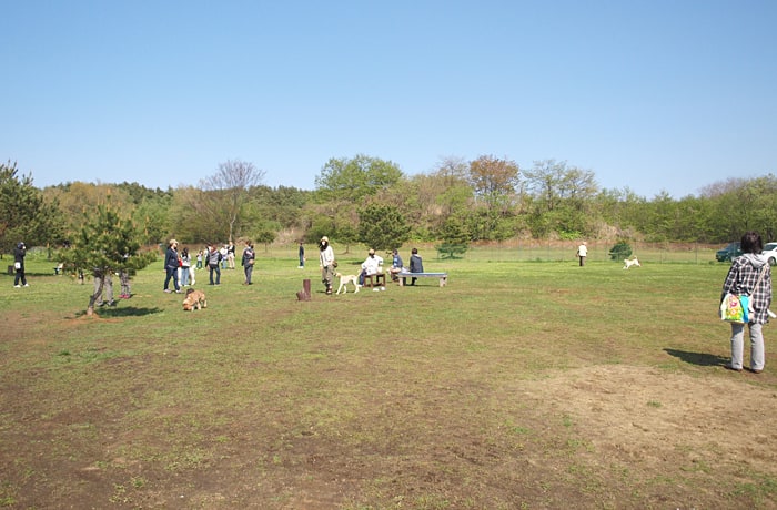 ドッグランてくてくピクニック