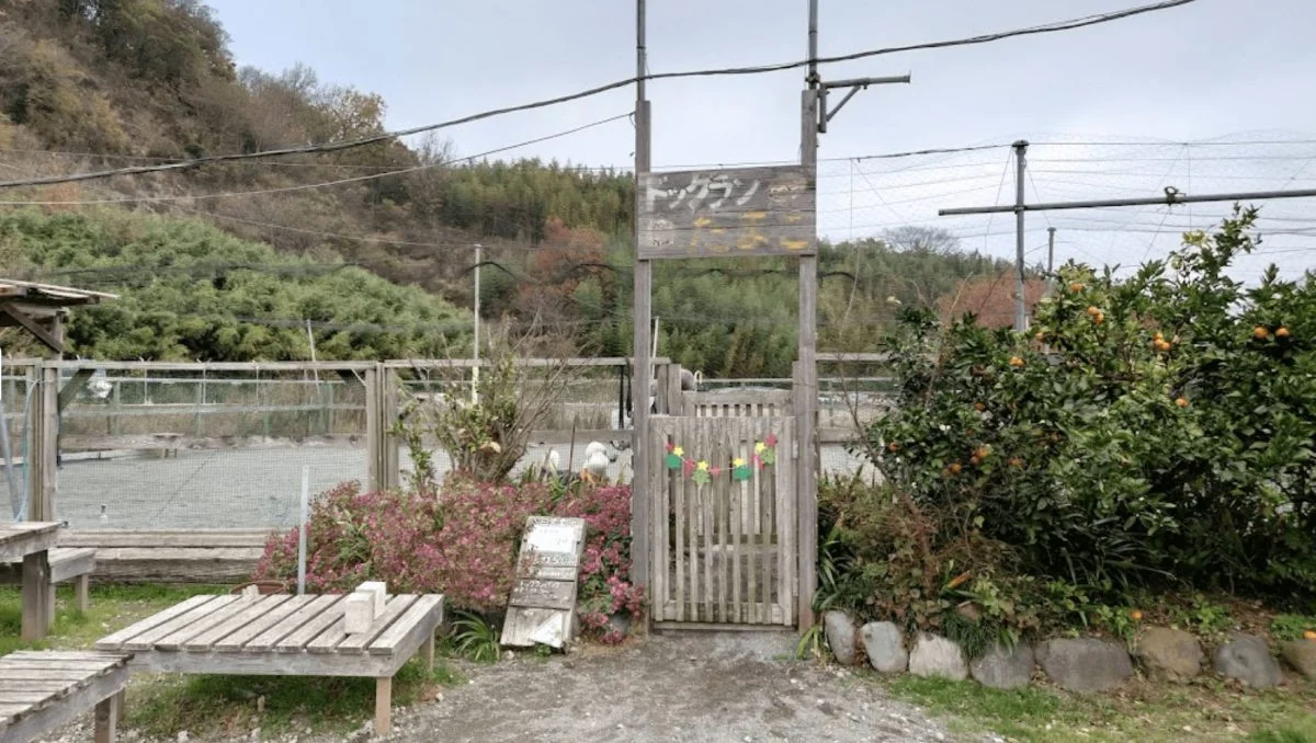 ドッグランたまご