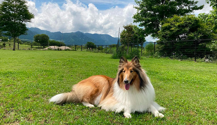 あそ望の郷 くぎの