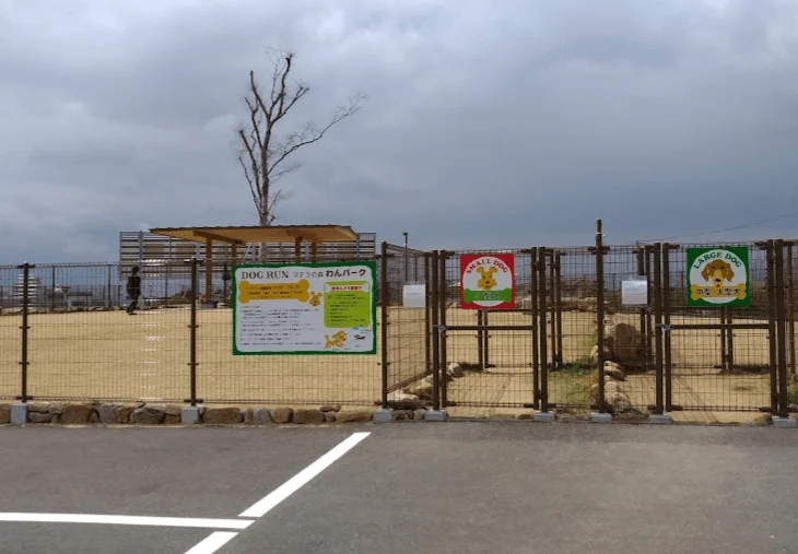 マテラの森 ドッグラン