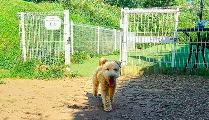 ハウスクエア横浜 ワンコパーク
