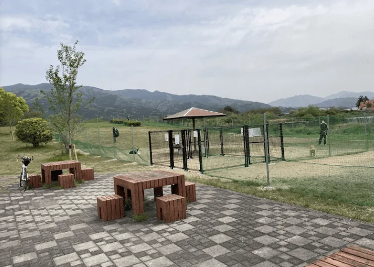 重信川樋口公園