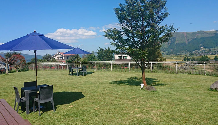 DOG GARDEN 南を翔る風