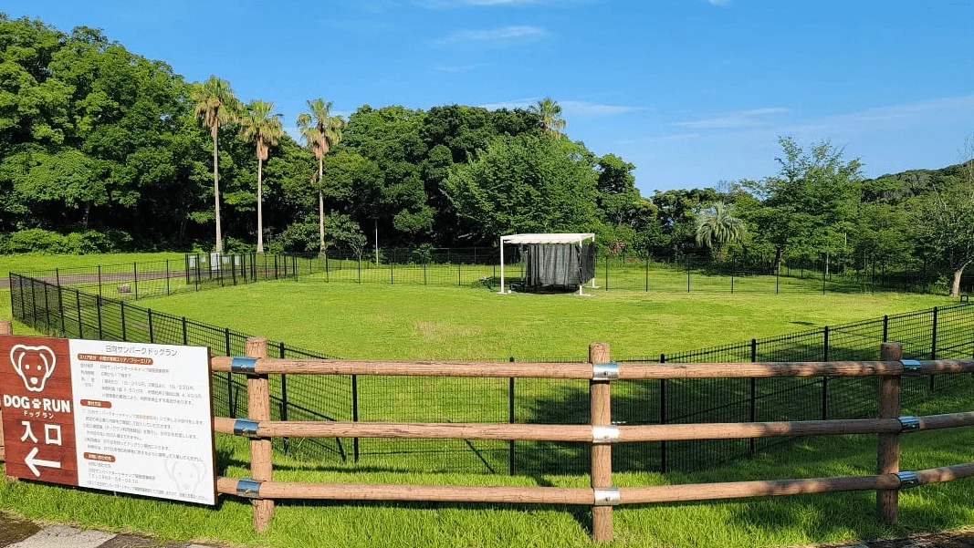 日向サンパークドッグラン