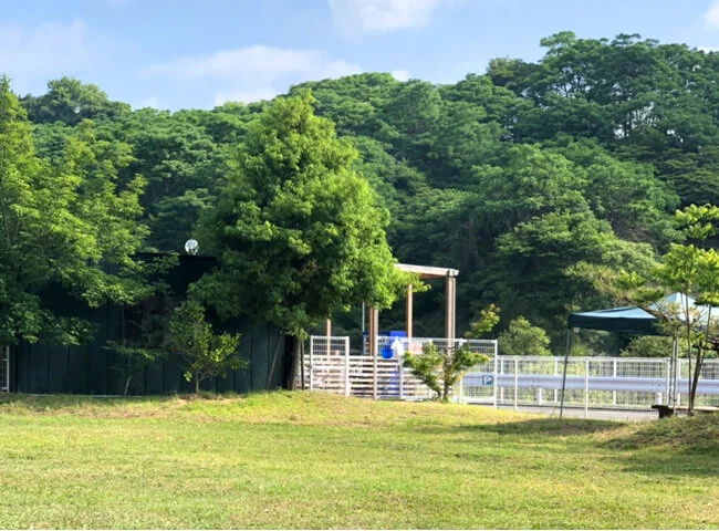 道後フォレストガーデン