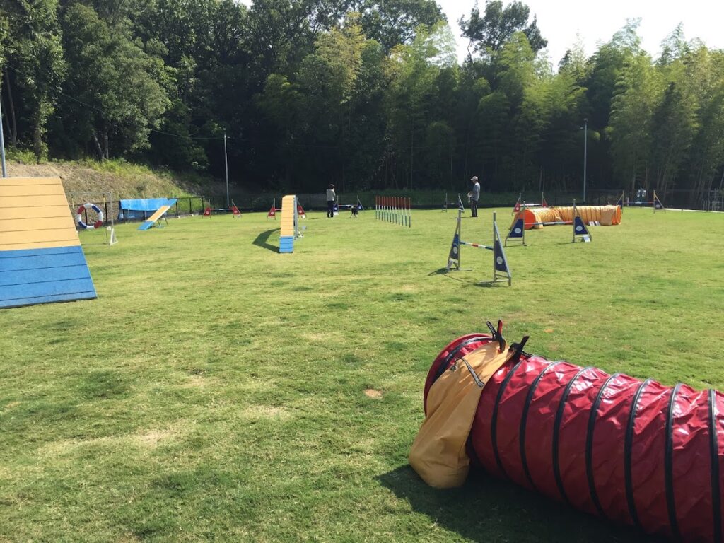 クラウドナイン ドッグスポーツクラブ