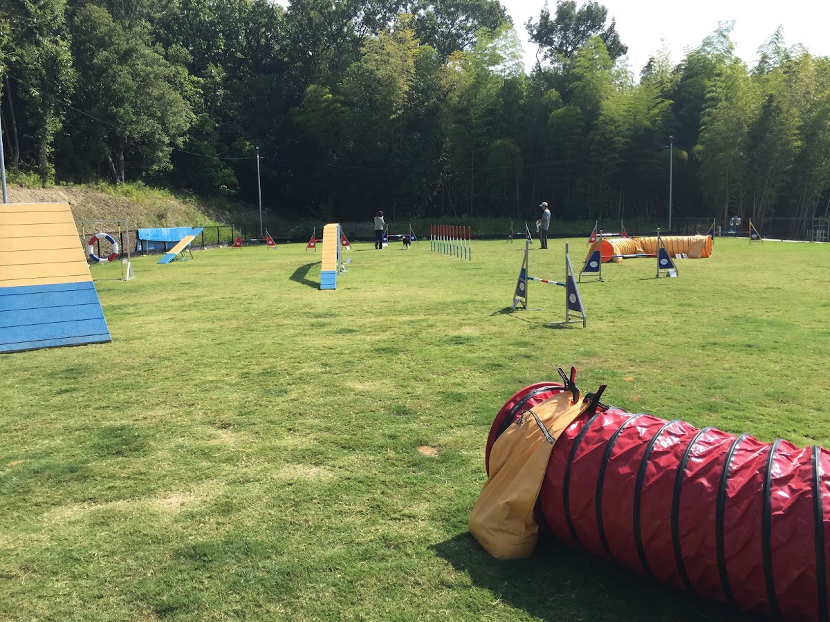 クラウドナイン ドッグスポーツクラブ