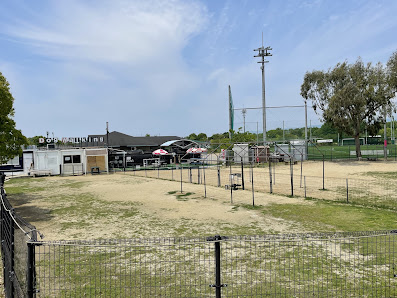 ドッグウォーキング