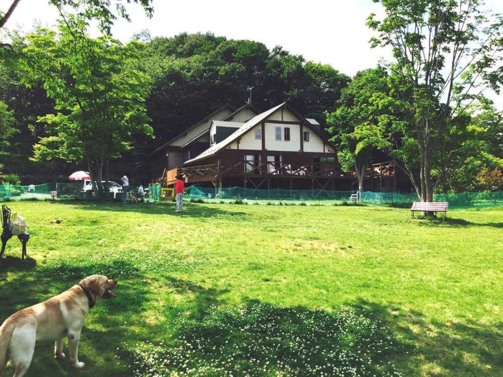 ドッグラン 蔵王わん！ワン！ランド