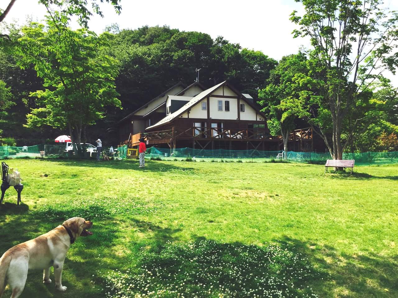 ドッグラン 蔵王わん！ワン！ランド