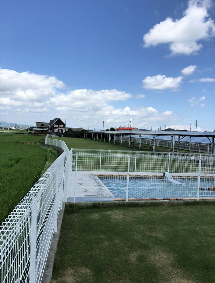 エネドッグパーク