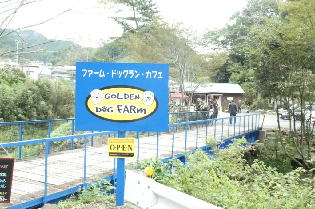 ドッグラン＆カフェ　GOLDEN DOG FARm(ゴールデンファーム)