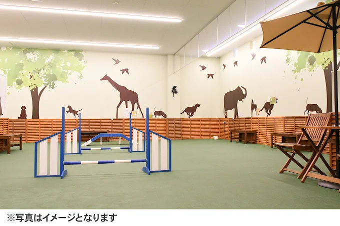 ペテモ新潟南店