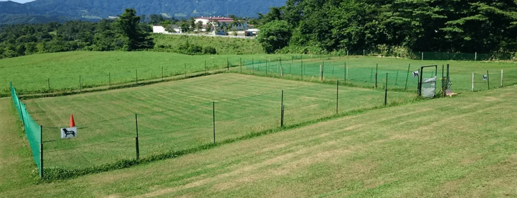 ひるぜんジャージーランドドッグラン