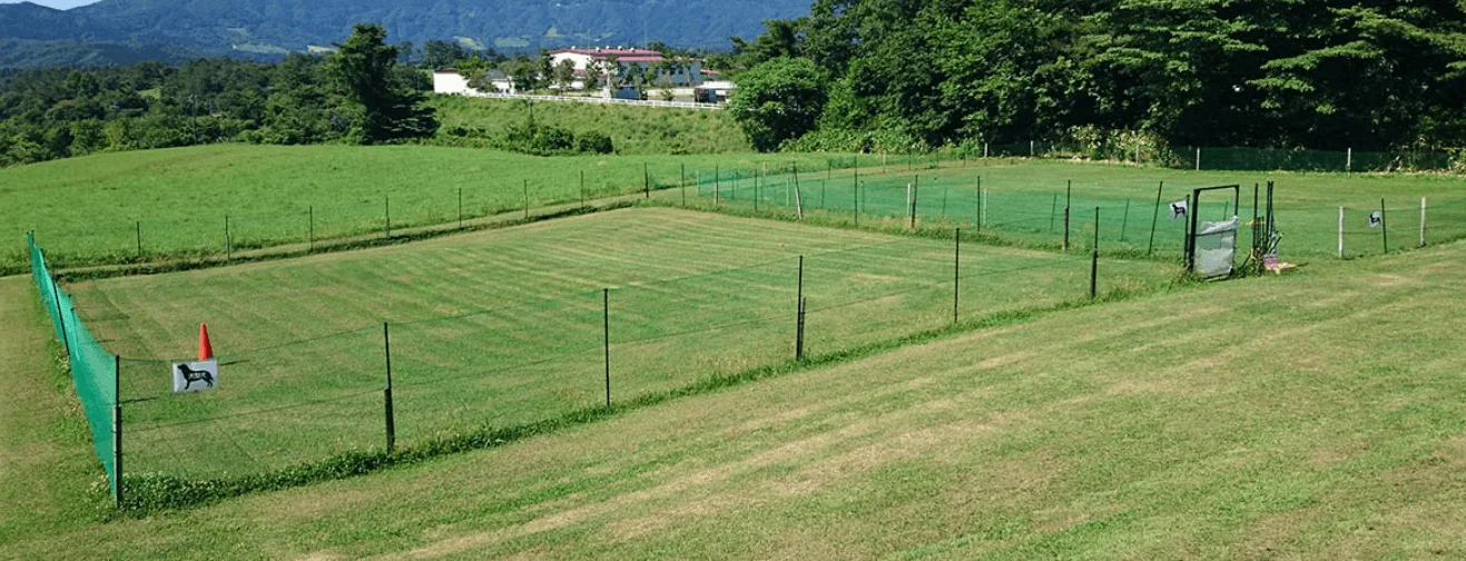 ひるぜんジャージーランドドッグラン
