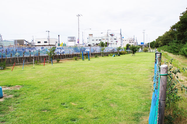 水軒公園(すいけんこうえん) ドッグラン