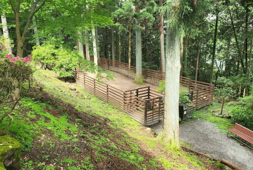 山のお寺のドッグラン