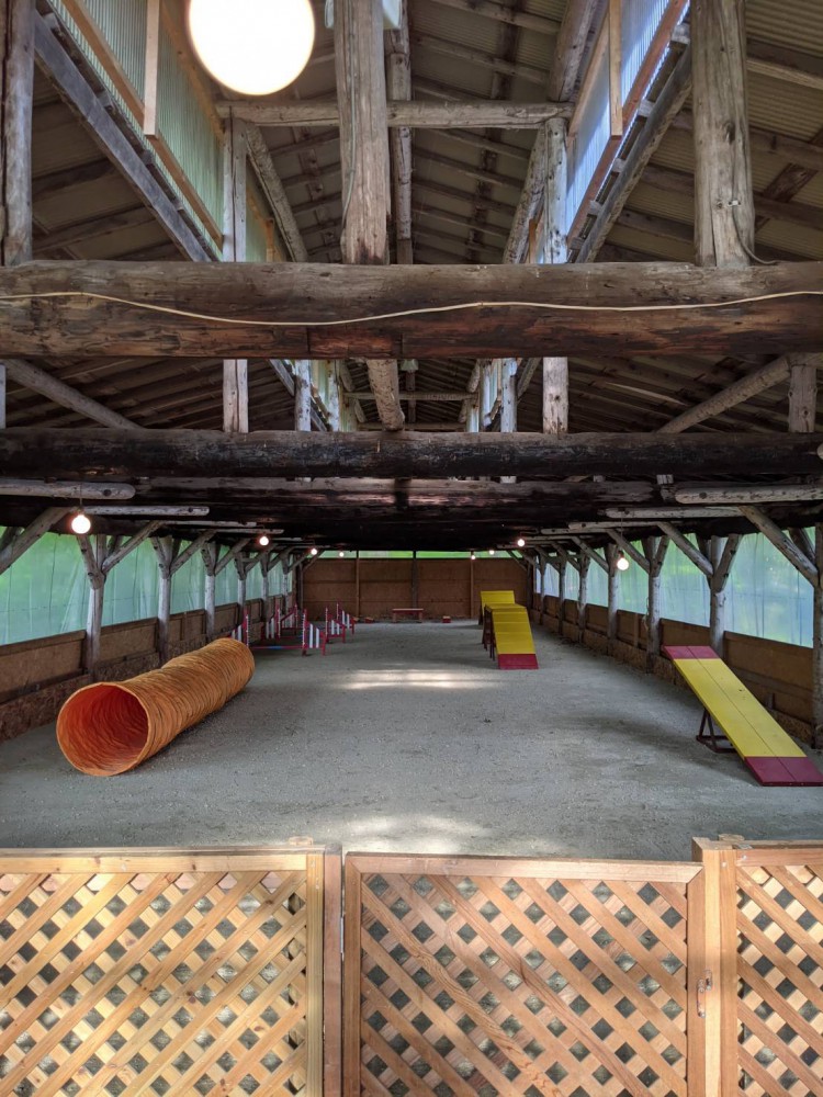 1bhSPhue1625567896_l