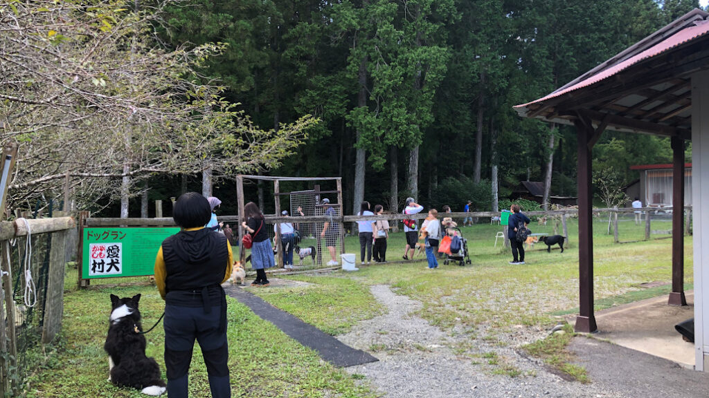 かしも愛犬村 ドッグラン