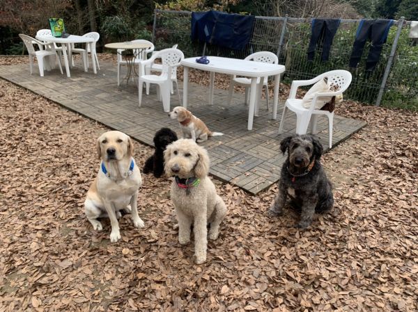 PEACEFUL HEART(ピースフルハート)