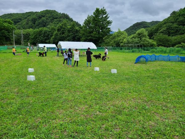 道の駅 雫石あねっこ