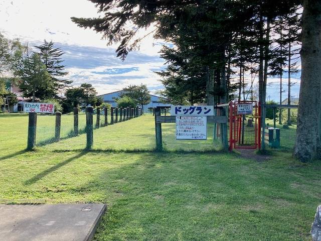 牛小屋のアイス ドッグラン