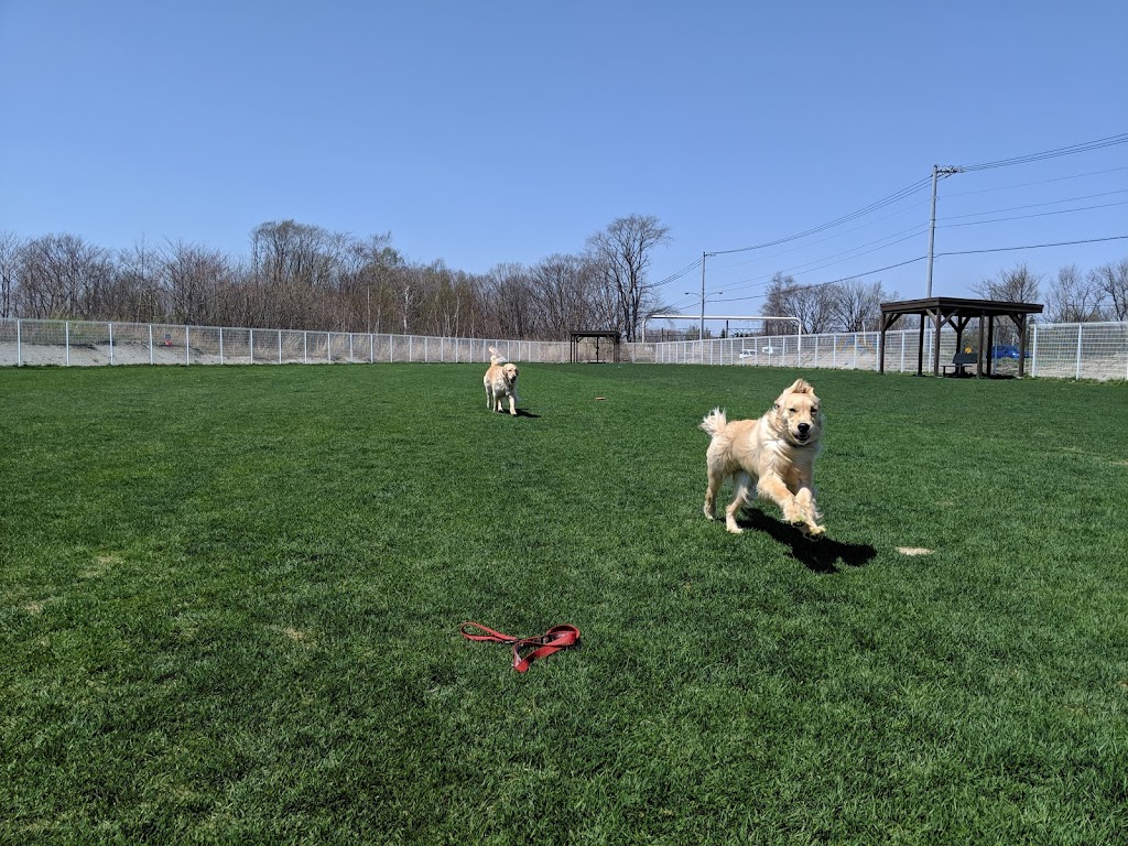 Aciuドッグランパーキング　ドッグラン