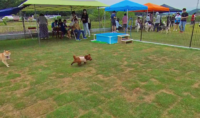 26db03_069e8c2f2441422f920d8087e8d58593f000