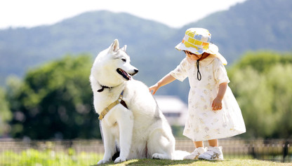 26db03_cc464bf88e1048baab06ca0d9b4f15bd~mv2