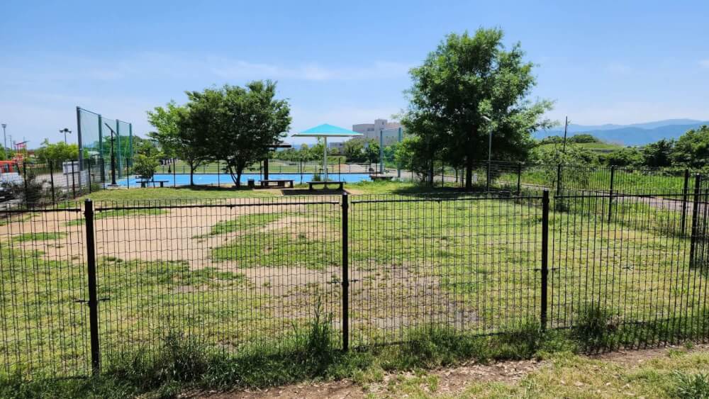 宮川内谷川河川敷公園 ドッグラン