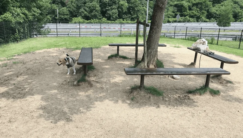 上板サービスエリア 下り ドッグラン