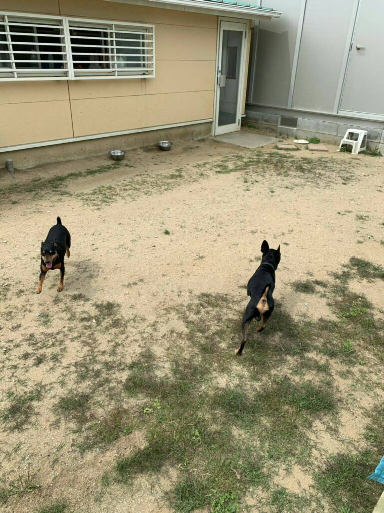 ペットホテル ポチの家