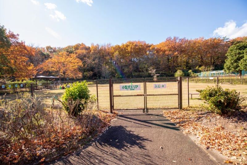 国営武蔵丘陵森林公園 ドッグラン