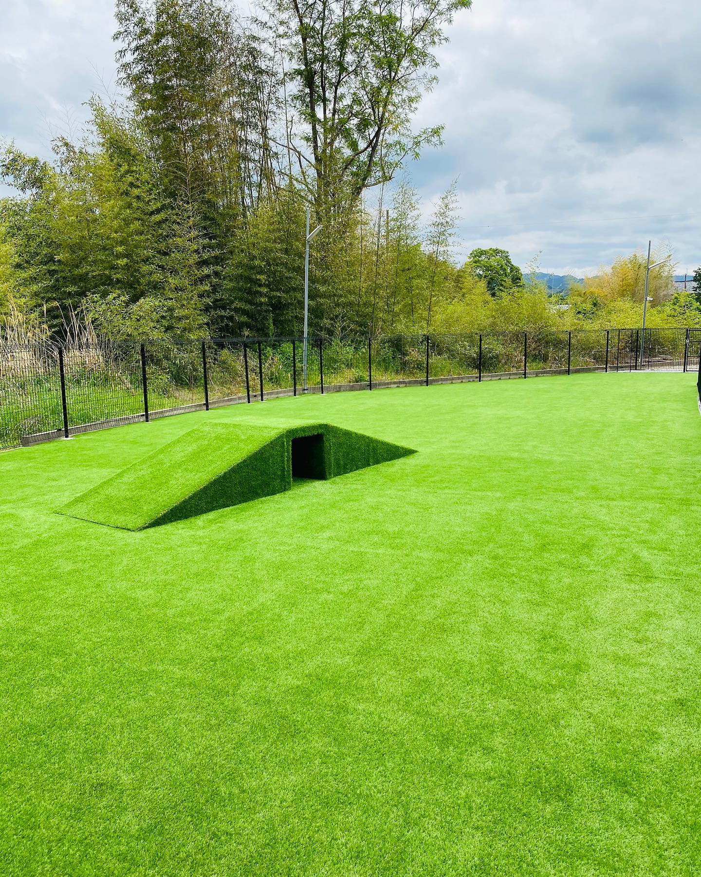 mog und hund(モグントフント)