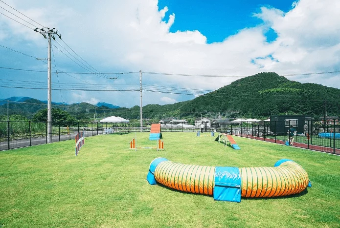 Tinee Dog Park（タイニー ドック パーク）