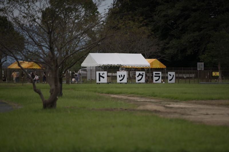 リバーサイドパーク ドッグラン