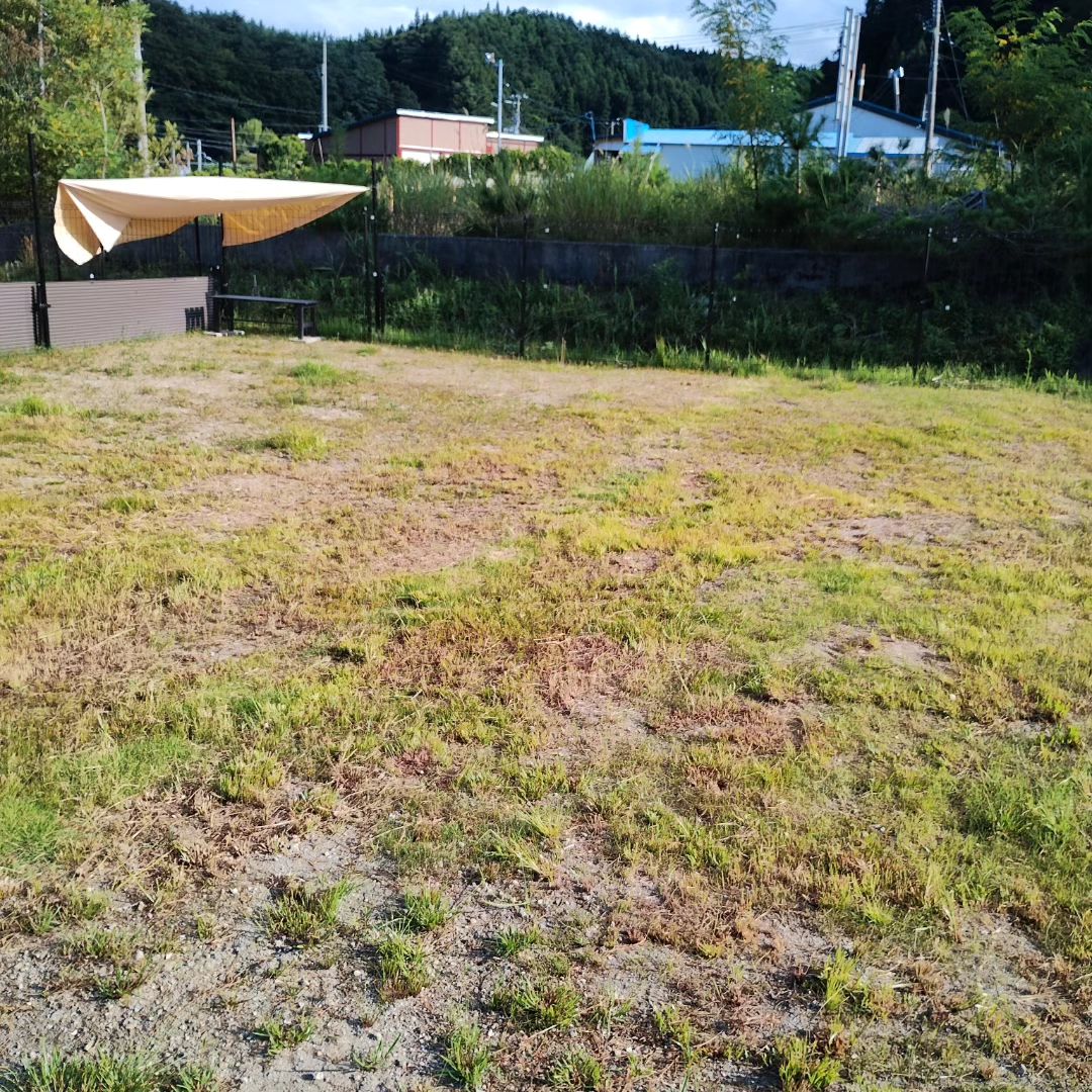 NPO法人Wishドッグラン