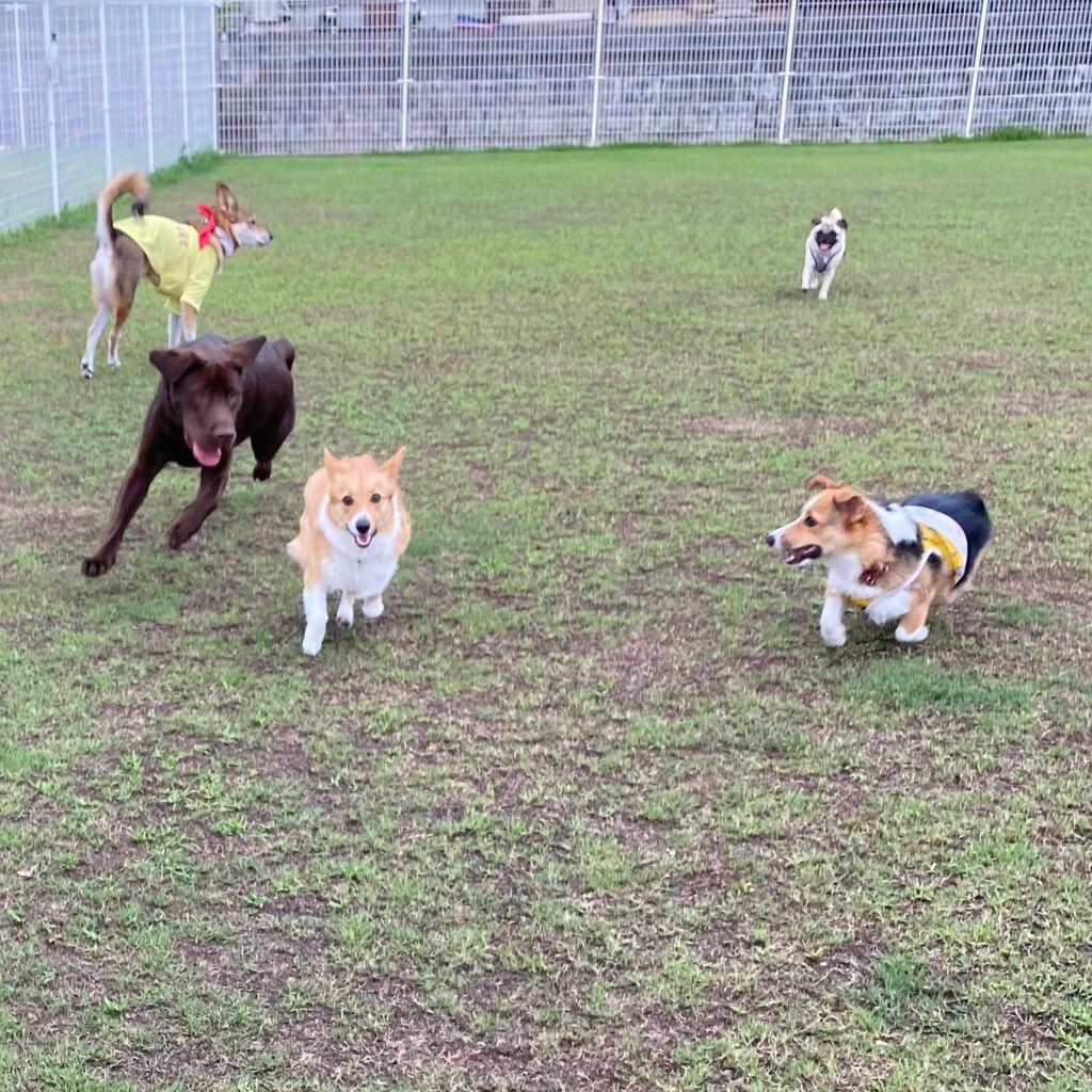 368568035_1090471435262588_1667309848527851827_n