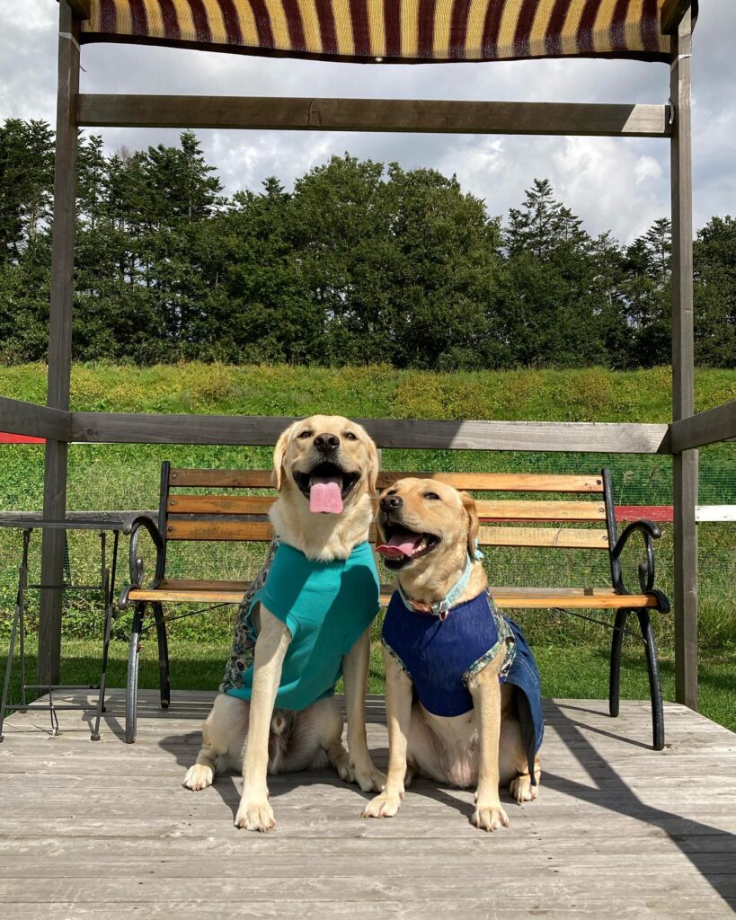 384413654_18301433098186608_451772750140808424_n