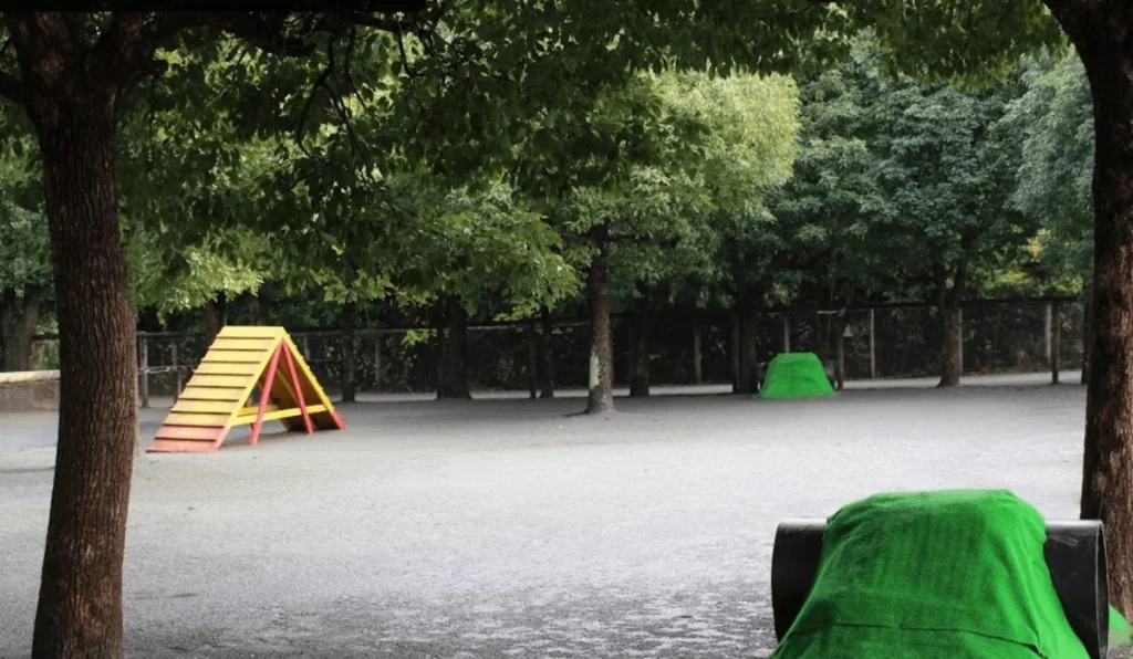 ドッグフォレスト 湘南