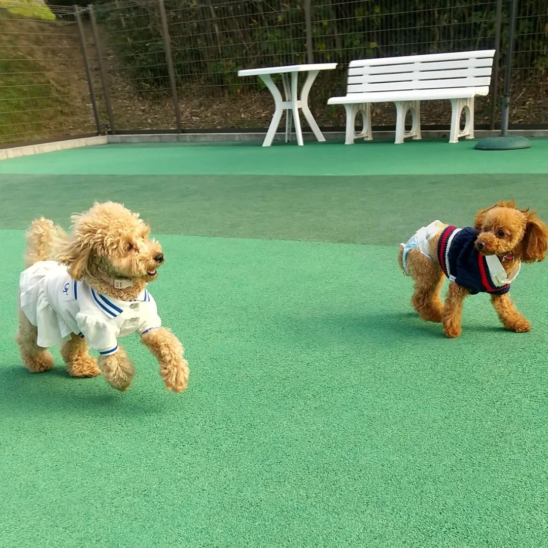 ワンズ クラブ エスケー（Wan’s Club SK）