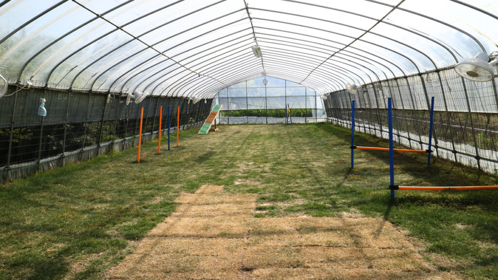 3a7f3a8db71bafa1480a08727a7a366a